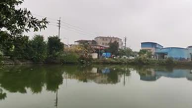 乡村乡镇雨天鱼塘拍摄实拍视频的预览图